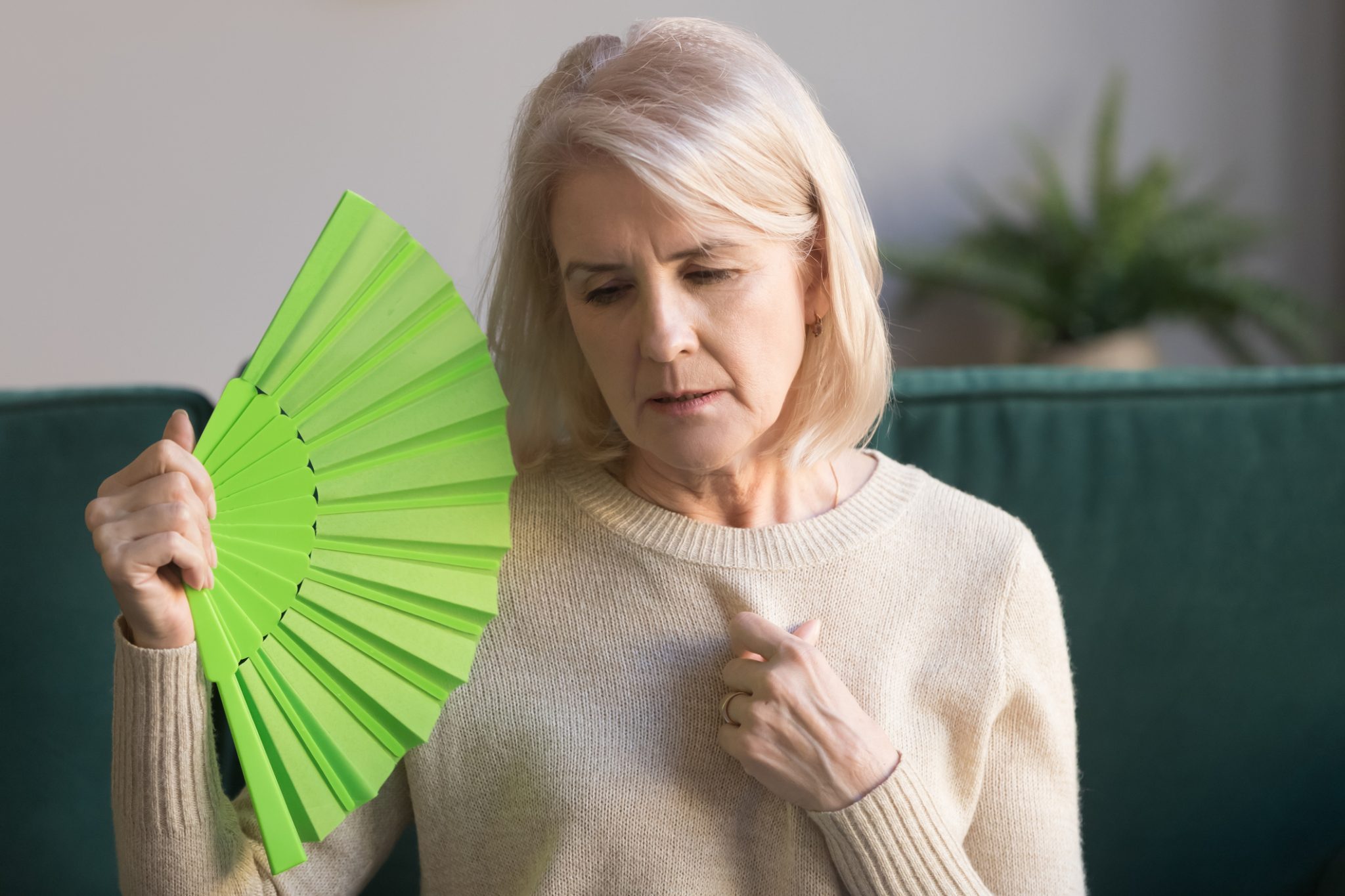 menopausa coisas que todo mulher deve sabe imagem texto